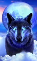 Night Wolf - Frozen Flame