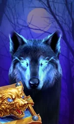 Book Of The Night Wolf